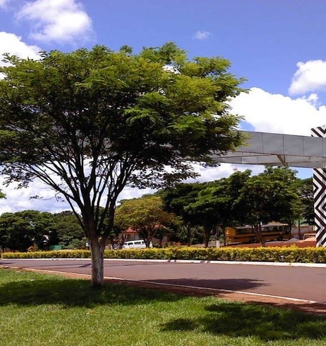 Contabilidade com atendimento consultivo e o melhor custo benefício