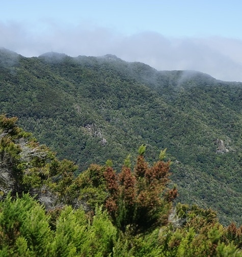 Contabilidade com atendimento consultivo e o melhor custo benefício