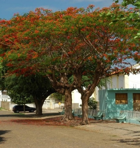 Contabilidade com atendimento consultivo e o melhor custo benefício