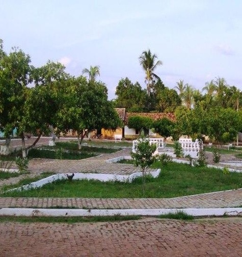 Contabilidade com atendimento consultivo e o melhor custo benefício