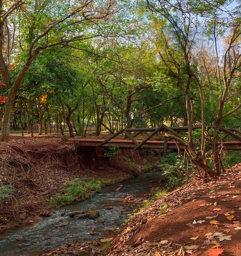 Contabilidade com atendimento consultivo e o melhor custo benefício