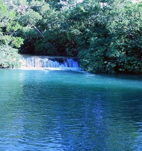 Contabilidade com atendimento consultivo e o melhor custo benefício