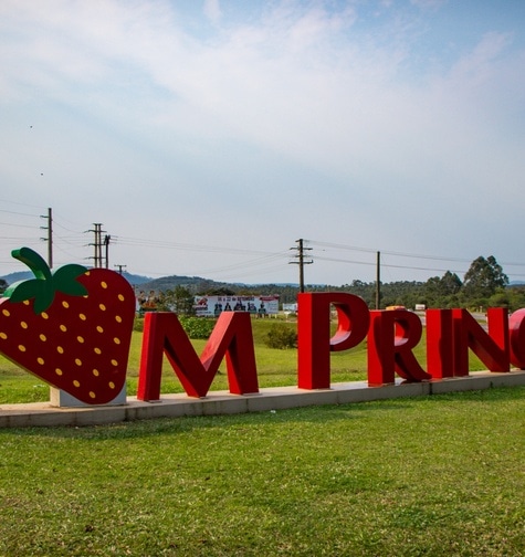 Contabilidade com atendimento consultivo e o melhor custo benefício