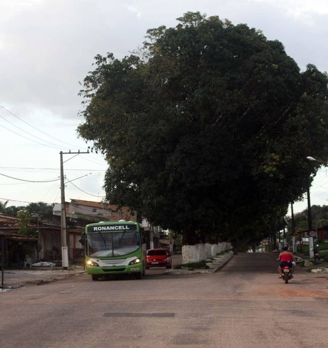 Contabilidade com atendimento consultivo e o melhor custo benefício