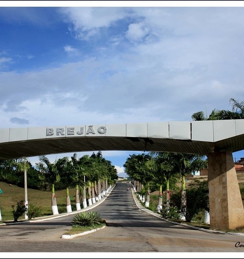 Contabilidade com atendimento consultivo e o melhor custo benefício