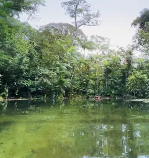 Contabilidade com atendimento consultivo e o melhor custo benefício