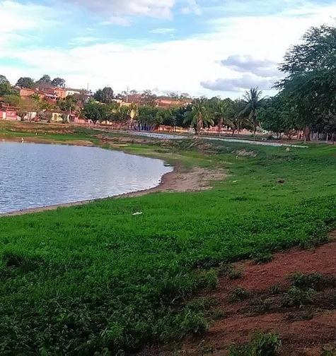 Contabilidade com atendimento consultivo e o melhor custo benefício