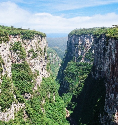 Contabilidade com atendimento consultivo e o melhor custo benefício
