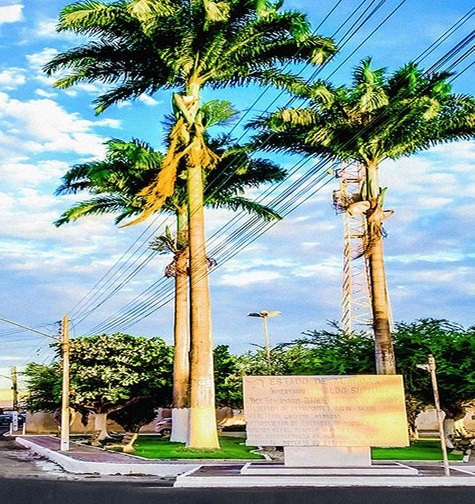 Contabilidade com atendimento consultivo e o melhor custo benefício