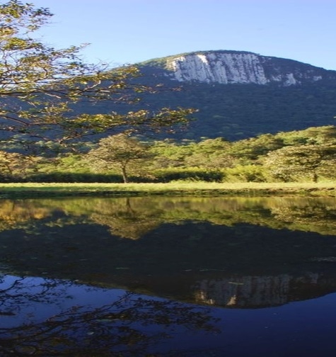 Contabilidade com atendimento consultivo e o melhor custo benefício