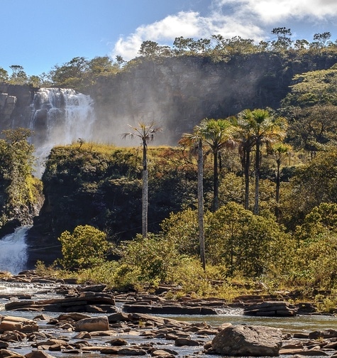 Contabilidade com atendimento consultivo e o melhor custo benefício