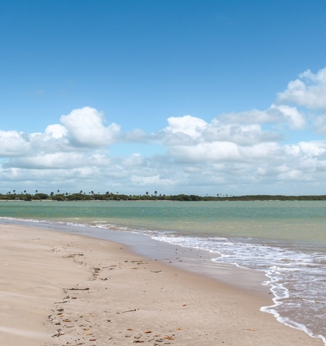 Contabilidade com atendimento consultivo e o melhor custo benefício