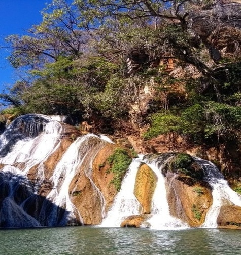 Contabilidade com atendimento consultivo e o melhor custo benefício