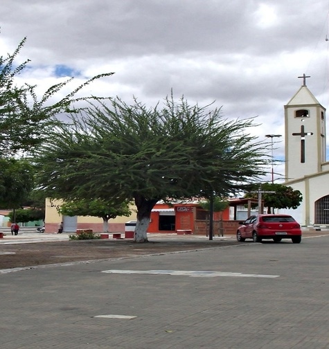 Contabilidade com atendimento consultivo e o melhor custo benefício