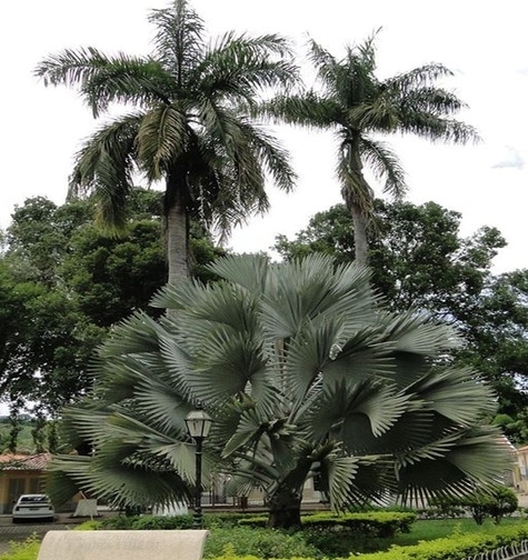 Contabilidade com atendimento consultivo e o melhor custo benefício