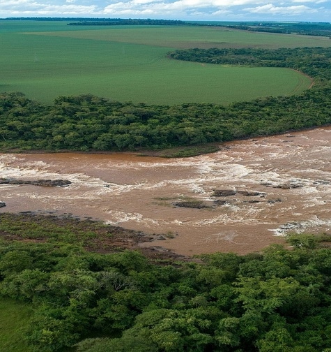 Contabilidade com atendimento consultivo e o melhor custo benefício