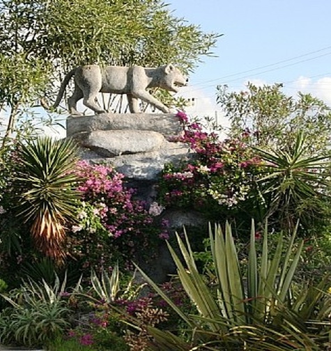 Contabilidade com atendimento consultivo e o melhor custo benefício