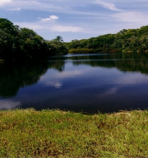 Contabilidade com atendimento consultivo e o melhor custo benefício