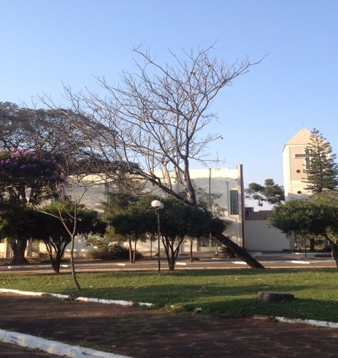 Contabilidade com atendimento consultivo e o melhor custo benefício
