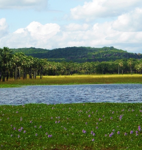 Contabilidade com atendimento consultivo e o melhor custo benefício