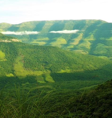 Contabilidade com atendimento consultivo e o melhor custo benefício