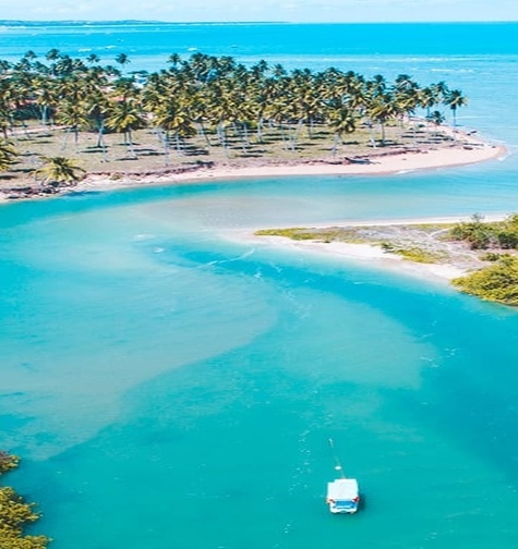 Contabilidade com atendimento consultivo e o melhor custo benefício