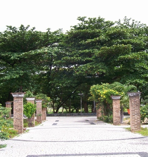 Contabilidade com atendimento consultivo e o melhor custo benefício