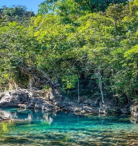 Contabilidade com atendimento consultivo e o melhor custo benefício