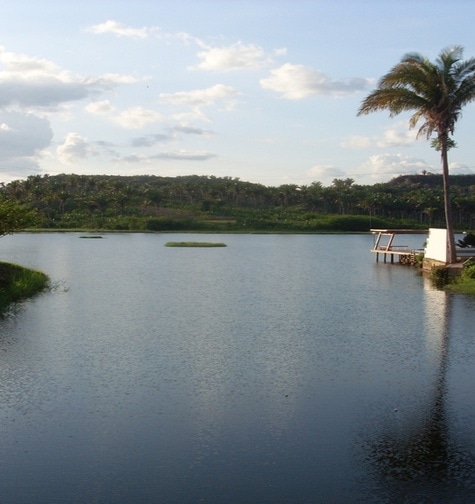 Contabilidade com atendimento consultivo e o melhor custo benefício