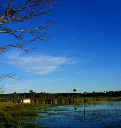 Contabilidade com atendimento consultivo e o melhor custo benefício