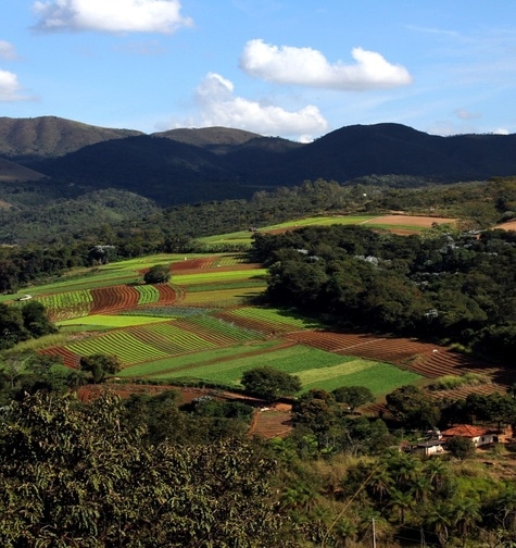 Contabilidade com atendimento consultivo e o melhor custo benefício