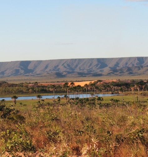 Contabilidade com atendimento consultivo e o melhor custo benefício