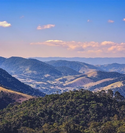 Contabilidade com atendimento consultivo e o melhor custo benefício