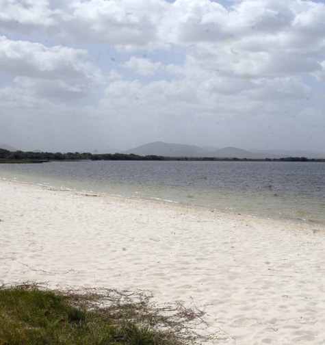 Contabilidade com atendimento consultivo e o melhor custo benefício