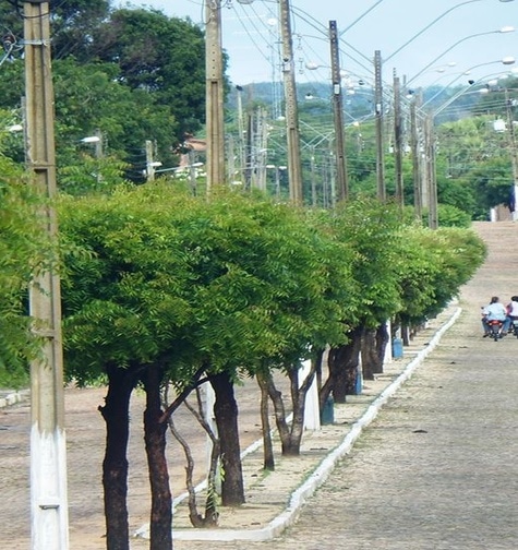 Contabilidade com atendimento consultivo e o melhor custo benefício