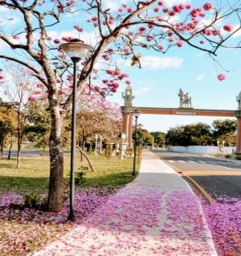 Contabilidade com atendimento consultivo e o melhor custo benefício