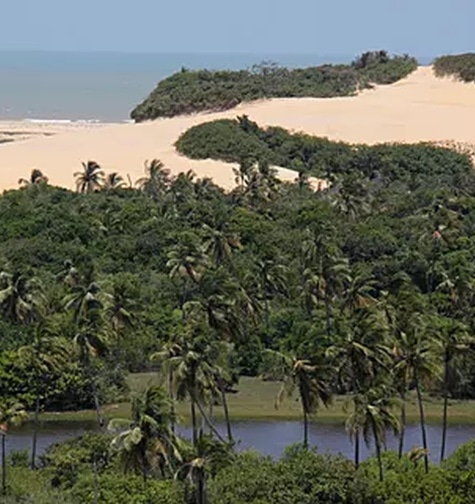 Contabilidade com atendimento consultivo e o melhor custo benefício