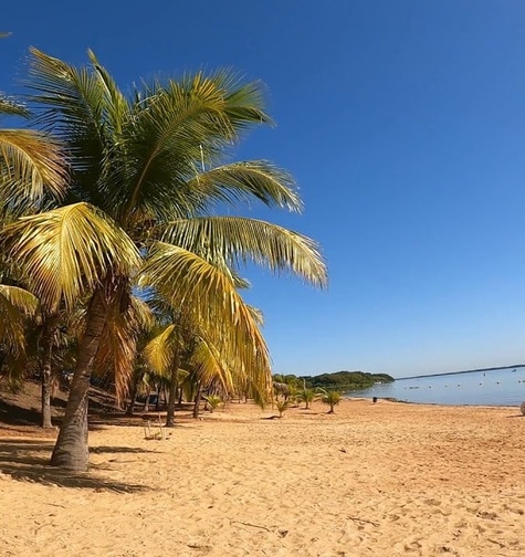 Contabilidade com atendimento consultivo e o melhor custo benefício