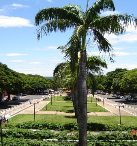 Contabilidade com atendimento consultivo e o melhor custo benefício