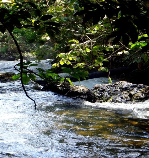 Contabilidade com atendimento consultivo e o melhor custo benefício