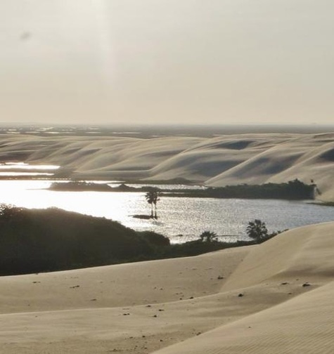 Contabilidade com atendimento consultivo e o melhor custo benefício