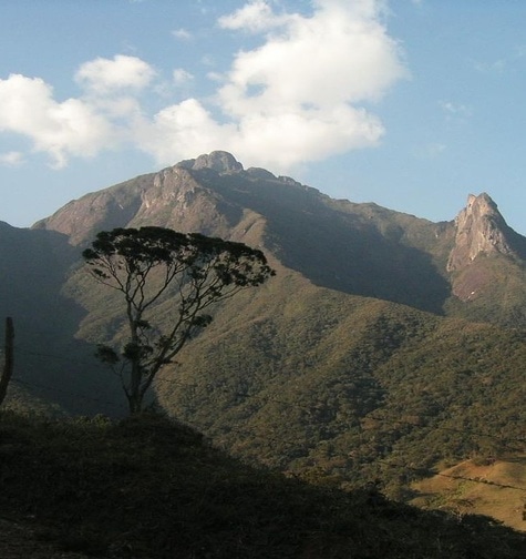 Contabilidade com atendimento consultivo e o melhor custo benefício