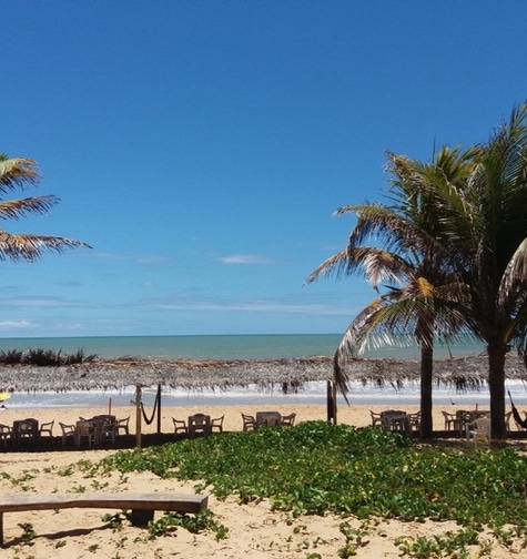 Contabilidade com atendimento consultivo e o melhor custo benefício