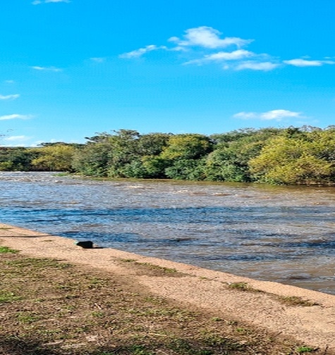 Contabilidade com atendimento consultivo e o melhor custo benefício