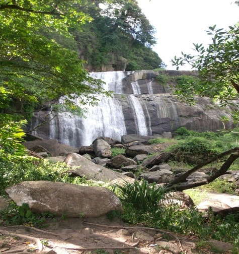 Contabilidade com atendimento consultivo e o melhor custo benefício