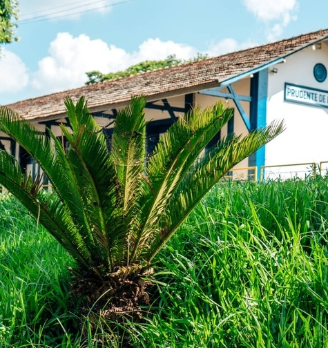 Contabilidade com atendimento consultivo e o melhor custo benefício