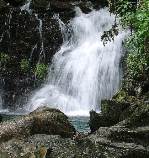 Contabilidade com atendimento consultivo e o melhor custo benefício