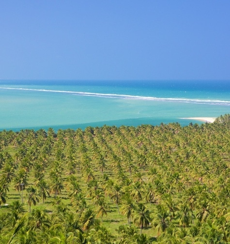 Contabilidade com atendimento consultivo e o melhor custo benefício