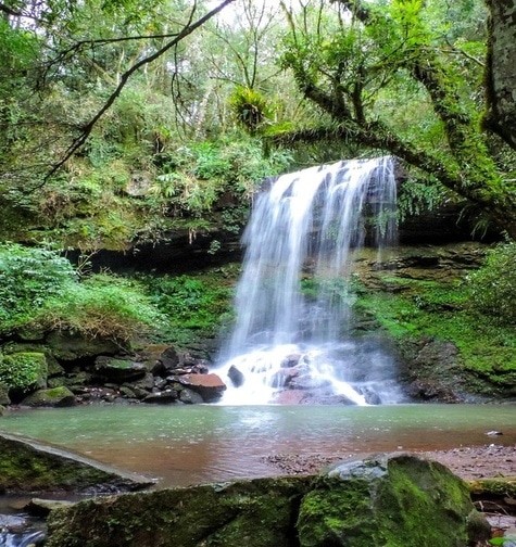 Contabilidade com atendimento consultivo e o melhor custo benefício