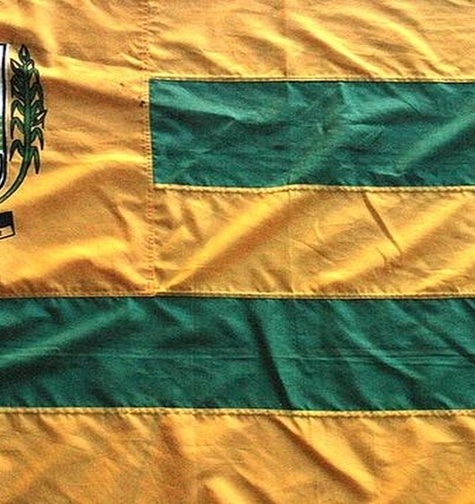 Contabilidade com atendimento consultivo e o melhor custo benefício